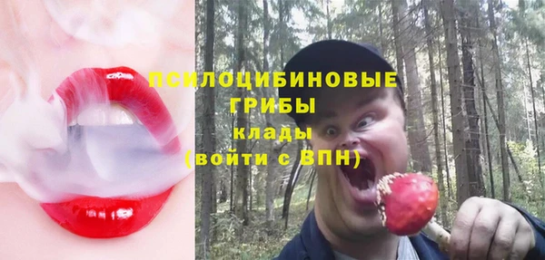 ГАЛЛЮЦИНОГЕННЫЕ ГРИБЫ Абдулино
