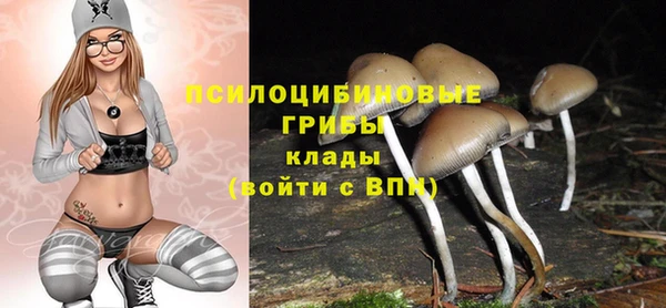 mix Абаза
