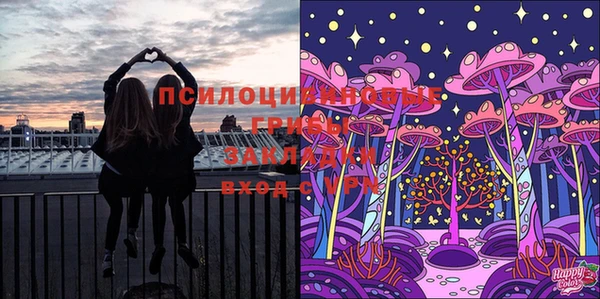 mix Абаза