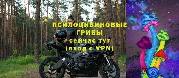 ГАЛЛЮЦИНОГЕННЫЕ ГРИБЫ Абдулино