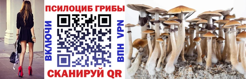 Галлюциногенные грибы Psilocybine cubensis Гагарин
